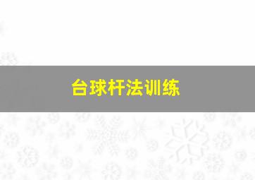 台球杆法训练