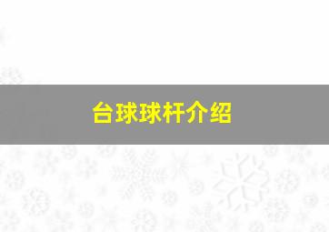 台球球杆介绍