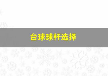 台球球杆选择