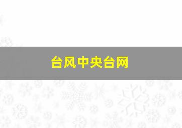 台风中央台网