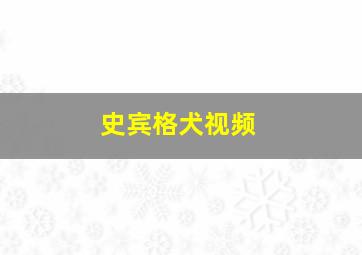 史宾格犬视频