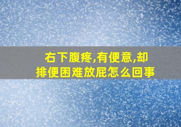 右下腹疼,有便意,却排便困难放屁怎么回事