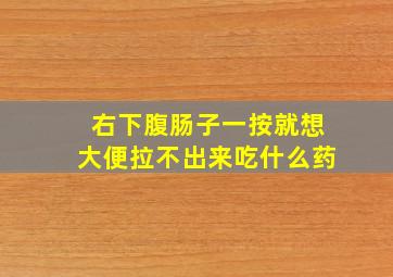 右下腹肠子一按就想大便拉不出来吃什么药