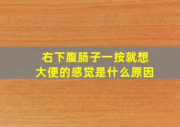 右下腹肠子一按就想大便的感觉是什么原因