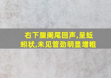 右下腹阑尾回声,呈蚯蚓状,未见管劲明显增粗