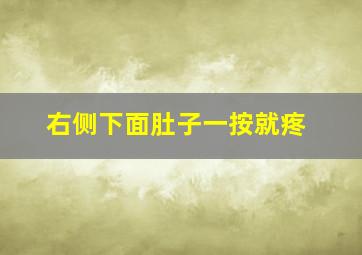 右侧下面肚子一按就疼