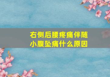 右侧后腰疼痛伴随小腹坠痛什么原因