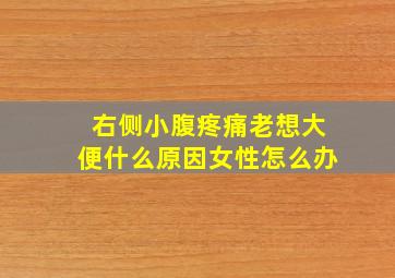 右侧小腹疼痛老想大便什么原因女性怎么办