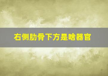 右侧肋骨下方是啥器官