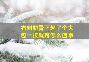 右侧肋骨下起了个大包一按就疼怎么回事