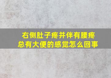 右侧肚子疼并伴有腰疼总有大便的感觉怎么回事