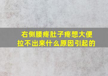 右侧腰疼肚子疼想大便拉不出来什么原因引起的