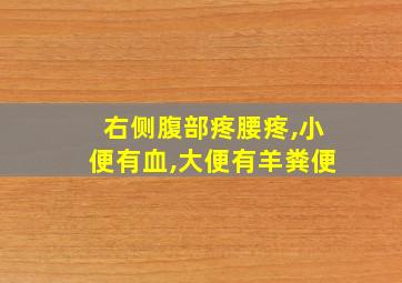 右侧腹部疼腰疼,小便有血,大便有羊粪便