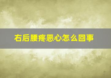 右后腰疼恶心怎么回事