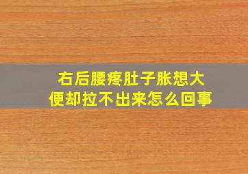 右后腰疼肚子胀想大便却拉不出来怎么回事