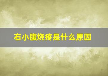 右小腹烧疼是什么原因