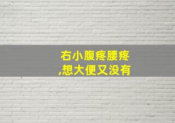 右小腹疼腰疼,想大便又没有