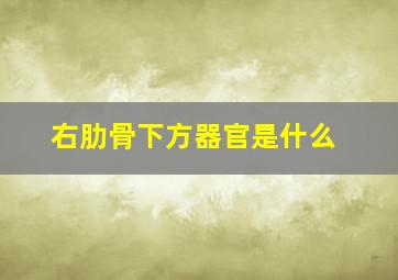 右肋骨下方器官是什么