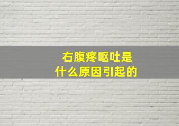 右腹疼呕吐是什么原因引起的