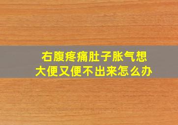 右腹疼痛肚子胀气想大便又便不出来怎么办