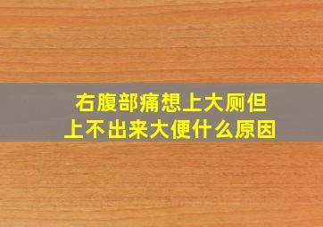 右腹部痛想上大厕但上不出来大便什么原因