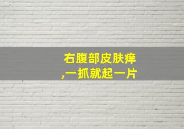 右腹部皮肤痒,一抓就起一片