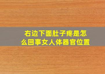 右边下面肚子疼是怎么回事女人体器官位置