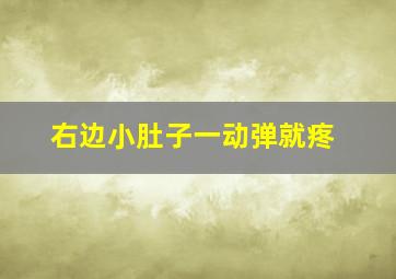 右边小肚子一动弹就疼