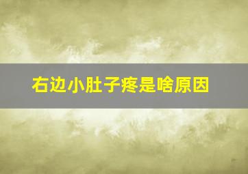 右边小肚子疼是啥原因