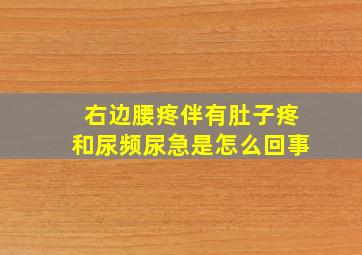 右边腰疼伴有肚子疼和尿频尿急是怎么回事