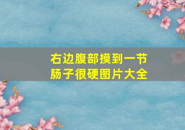 右边腹部摸到一节肠子很硬图片大全