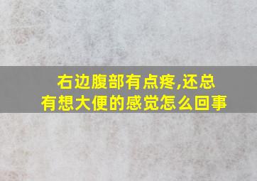 右边腹部有点疼,还总有想大便的感觉怎么回事