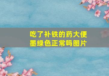 吃了补铁的药大便墨绿色正常吗图片