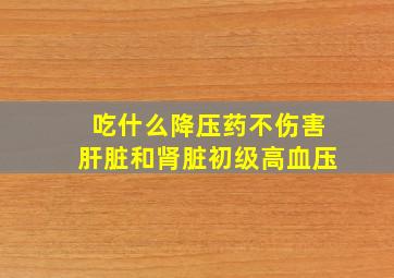 吃什么降压药不伤害肝脏和肾脏初级高血压