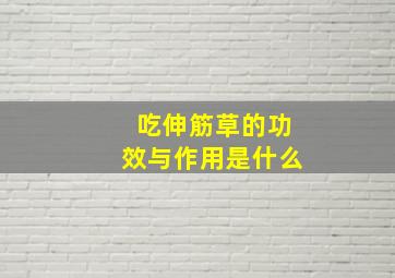 吃伸筋草的功效与作用是什么