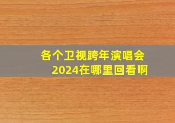 各个卫视跨年演唱会2024在哪里回看啊