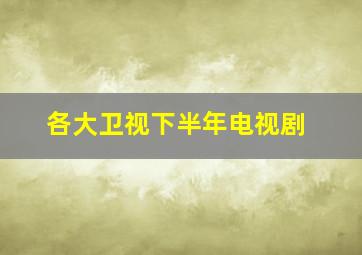 各大卫视下半年电视剧