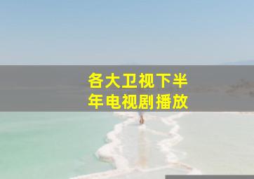 各大卫视下半年电视剧播放