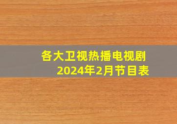 各大卫视热播电视剧2024年2月节目表