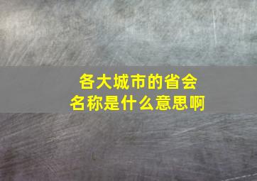 各大城市的省会名称是什么意思啊