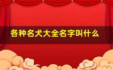 各种名犬大全名字叫什么