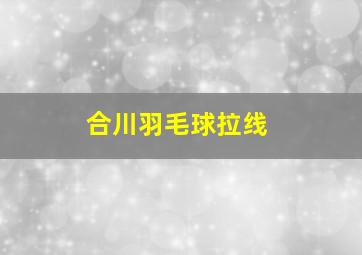 合川羽毛球拉线