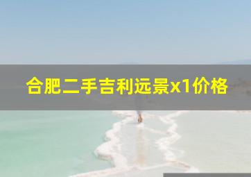 合肥二手吉利远景x1价格