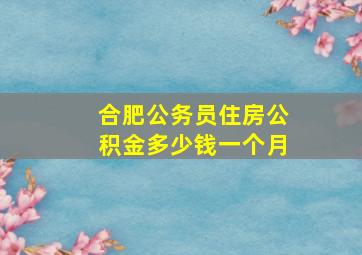 合肥公务员住房公积金多少钱一个月