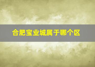 合肥宝业城属于哪个区