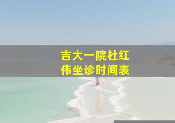 吉大一院杜红伟坐诊时间表