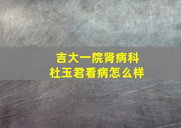 吉大一院肾病科杜玉君看病怎么样