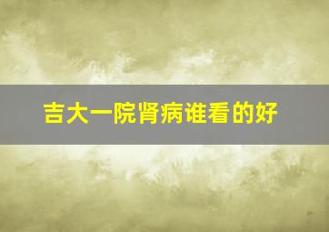 吉大一院肾病谁看的好