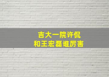 吉大一院许侃和王宏磊谁厉害