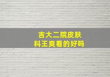 吉大二院皮肤科王爽看的好吗